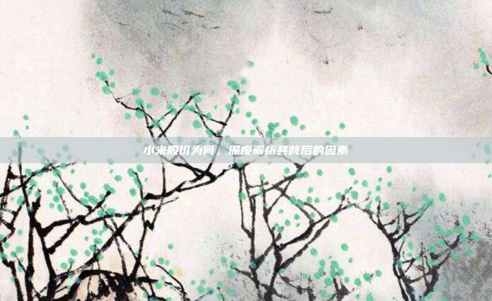小米股价为何，深度解析其背后的因素