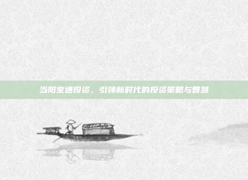 当阳宝通投资，引领新时代的投资策略与智慧