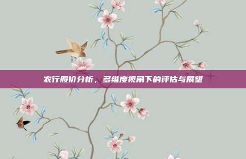 农行股价分析，多维度视角下的评估与展望