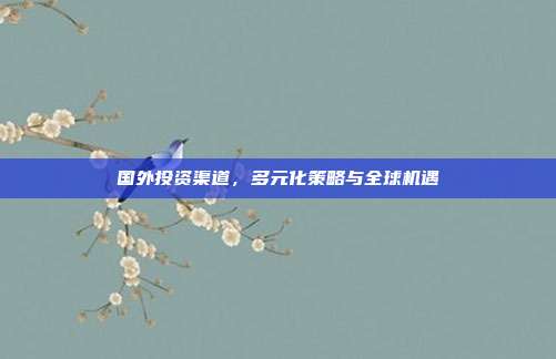 国外投资渠道，多元化策略与全球机遇