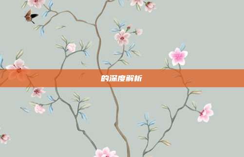 的深度解析