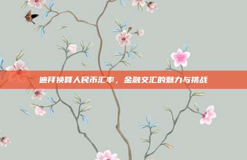迪拜换算人民币汇率，金融交汇的魅力与挑战