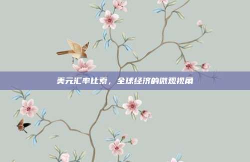 美元汇率比索，全球经济的微观视角