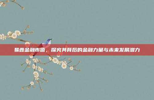 易鑫金融市值，探究其背后的金融力量与未来发展潜力