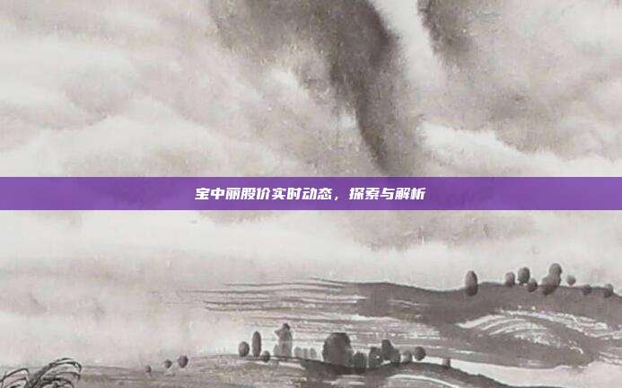 宝中丽股价实时动态，探索与解析