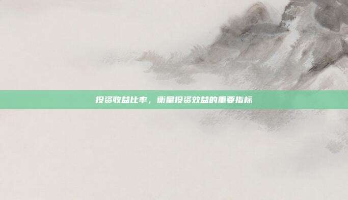 投资收益比率，衡量投资效益的重要指标