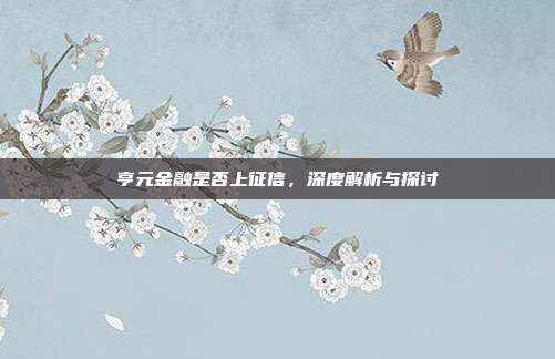 亨元金融是否上征信，深度解析与探讨