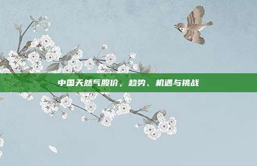 中国天然气股价，趋势、机遇与挑战