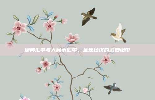 瑞典汇率与人民币汇率，全球经济的微妙纽带