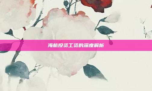 海航投资工资的深度解析