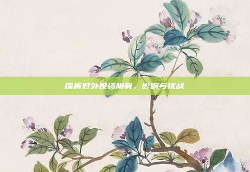探析对外投资限制，影响与挑战