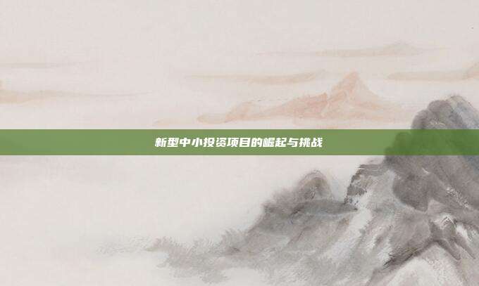 新型中小投资项目的崛起与挑战