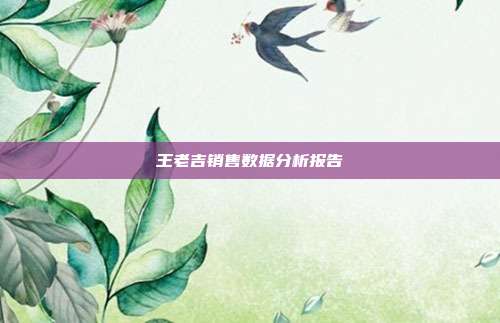 王老吉销售数据分析报告