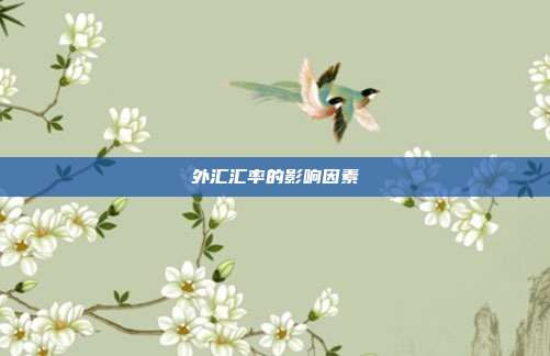 外汇汇率的影响因素