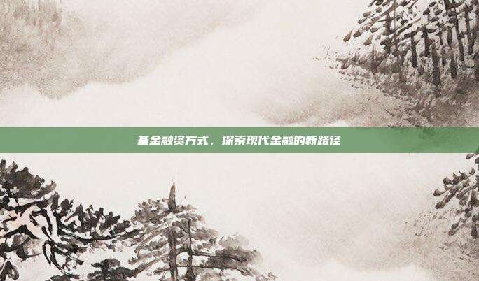 基金融资方式，探索现代金融的新路径