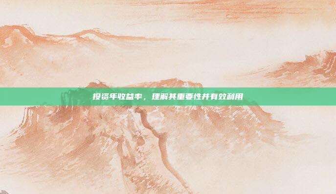 投资年收益率，理解其重要性并有效利用
