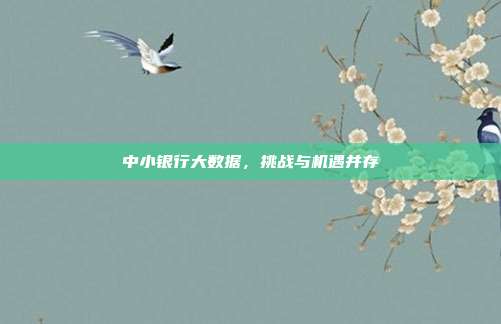 中小银行大数据，挑战与机遇并存