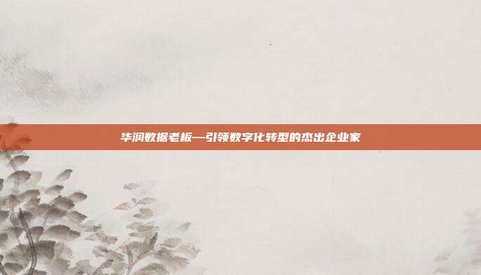 华润数据老板—引领数字化转型的杰出企业家