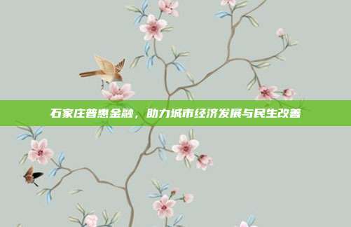 石家庄普惠金融，助力城市经济发展与民生改善