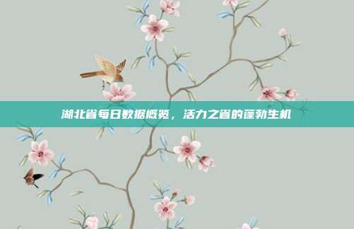 湖北省每日数据概览，活力之省的蓬勃生机