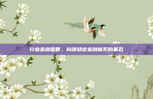 分业金融监管，构建稳定金融体系的基石