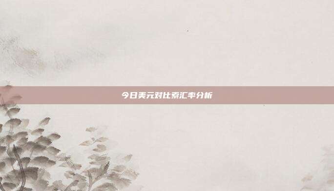 今日美元对比索汇率分析