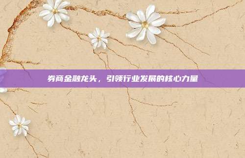 券商金融龙头，引领行业发展的核心力量