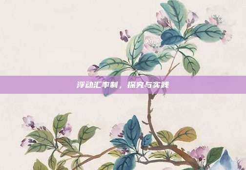 浮动汇率制，探究与实践