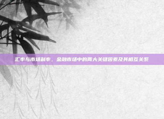 汇率与市场利率，金融市场中的两大关键因素及其相互关系