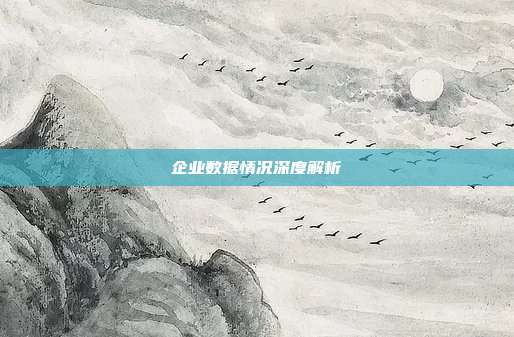 企业数据情况深度解析
