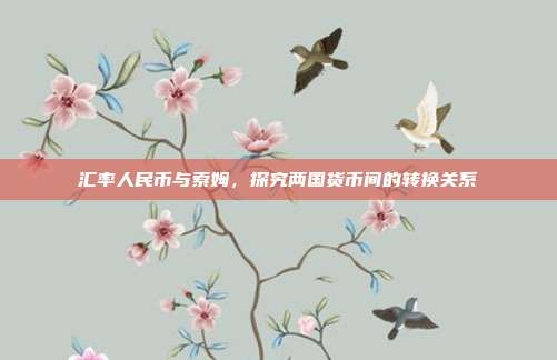 汇率人民币与索姆，探究两国货币间的转换关系