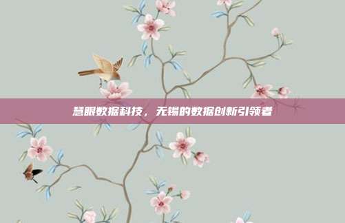 慧眼数据科技，无锡的数据创新引领者
