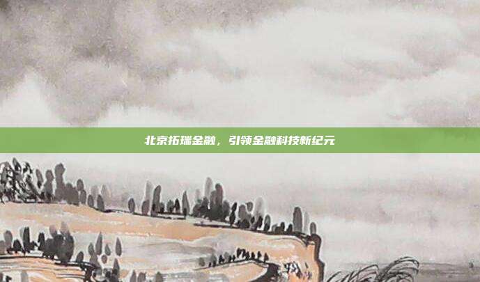 北京拓瑞金融，引领金融科技新纪元