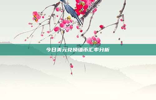 今日美元兑换缅币汇率分析