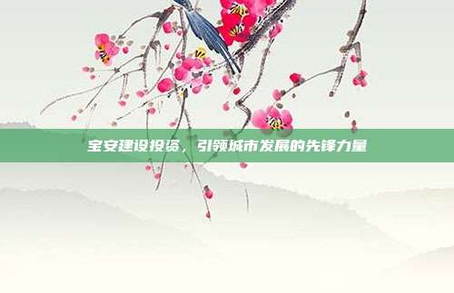 宝安建设投资，引领城市发展的先锋力量