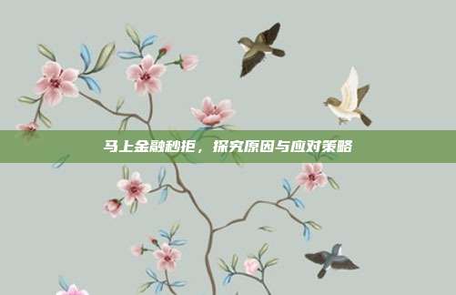 马上金融秒拒，探究原因与应对策略