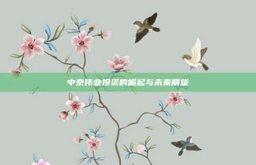 中京伟业投资的崛起与未来展望