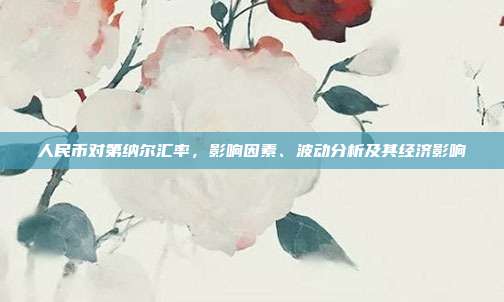 人民币对第纳尔汇率，影响因素、波动分析及其经济影响