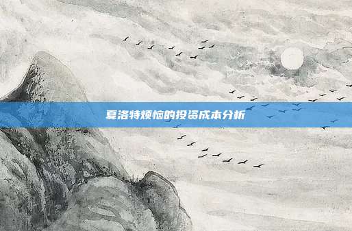 夏洛特烦恼的投资成本分析