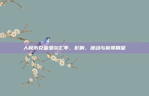 人民币兑雷亚尔汇率，影响、波动与前景展望