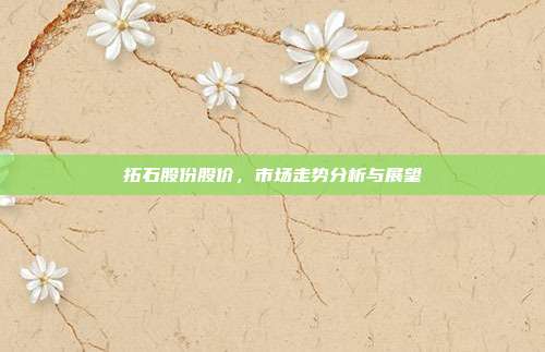 拓石股份股价，市场走势分析与展望