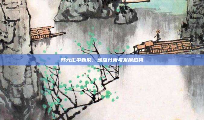 韩元汇率新浪，动态分析与发展趋势