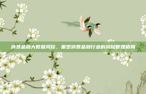 消费金融大数据风控，重塑消费金融行业的风险管理格局