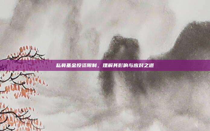 私募基金投资限制，理解其影响与应对之道