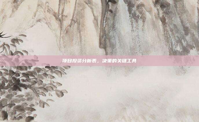 项目投资分析表，决策的关键工具