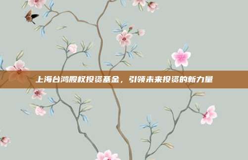上海台鸿股权投资基金，引领未来投资的新力量