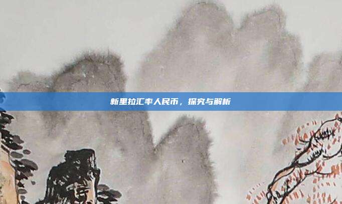 新里拉汇率人民币，探究与解析