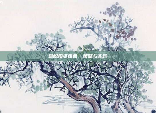 避税投资组合，策略与实践