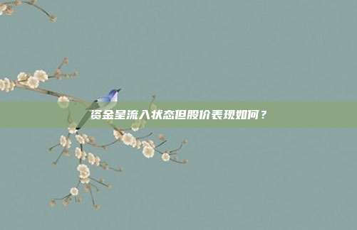 资金呈流入状态但股价表现如何?