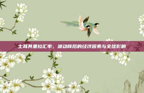 士耳其里拉汇率，波动背后的经济因素与全球影响